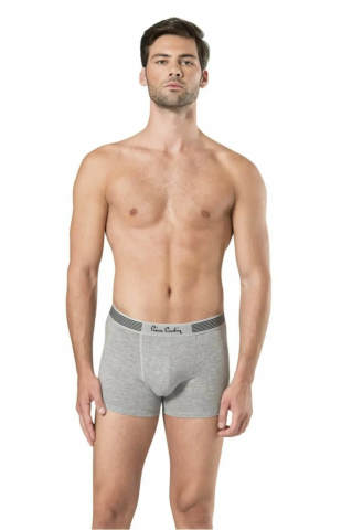 Pierre Cardin 360 Modal ( Strech ) 3'lü Boxer Karışık